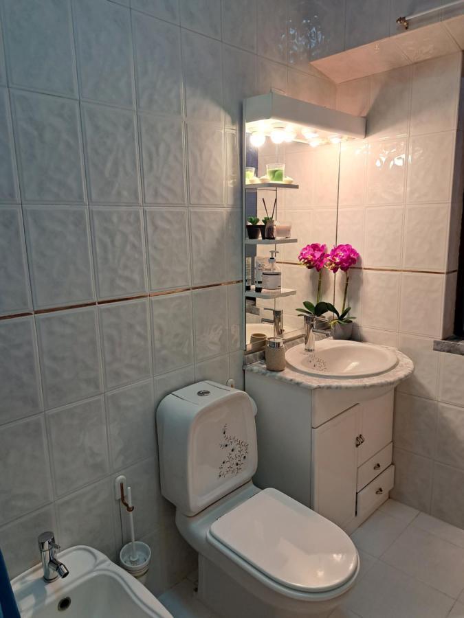 Beja Garden Apartamento Com Terraco Privado Εξωτερικό φωτογραφία